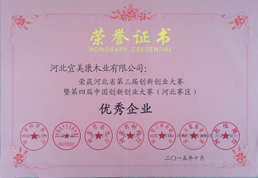 宜美康无醛负离子板创业优秀奖证书